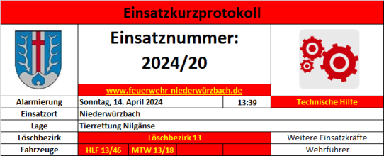 Einsatzfoto 2024 - 20 Tierrettung (Nilgänse).png