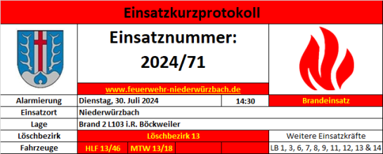 Einsatzfoto 2024 - 71 Brand 2 (Flächenbrand Böckweiler).png