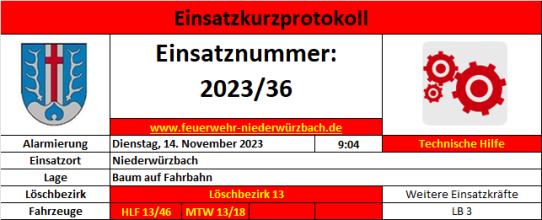 Einsatzfoto 2023 - 36 TH Baum über Fahrbahn (Neuweg).png
